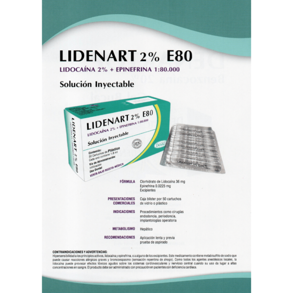 LIDENART - Imagen 2